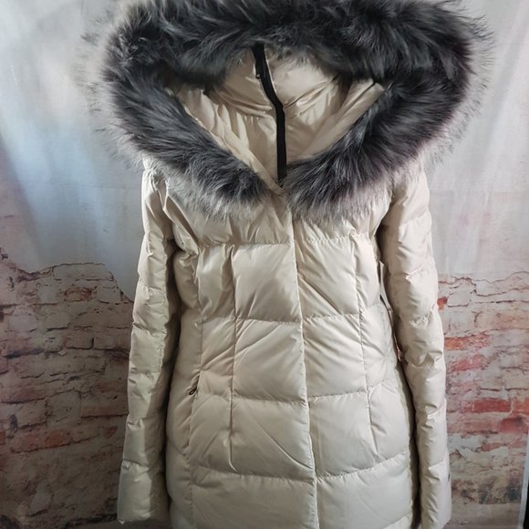 North Face Dealio Down Parkina Store 